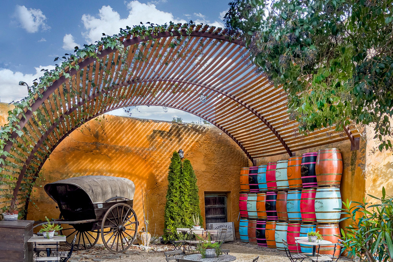 Casa Vermouth Padró: Vermouth tasting and guided visit in Bràfim (Tarragona) Vermouth tasting and guided visit in ENGLISH in Bràfim (Tarragona)