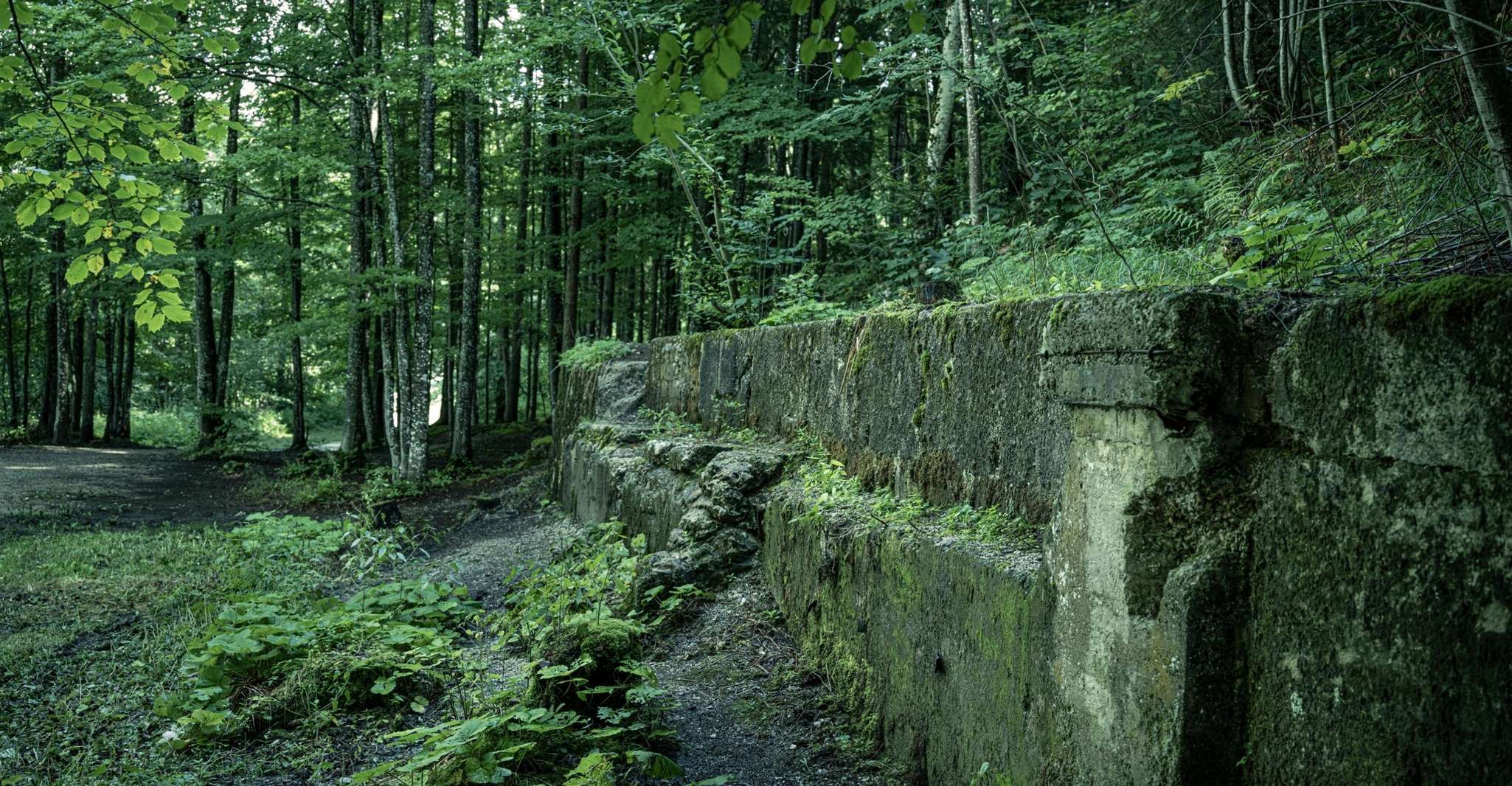 Full Day Eagle's Nest Berchtesgaden Obersalzberg WWII Tour - Housity