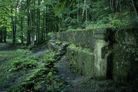 Prywatne Orle Gniazdo Berchtesgaden Obersalzberg Wycieczka z czasów II wojny światowejEagle's Nest - Berchtesgaden Prywatna półdniowa wycieczka z czasów II wojny światowej