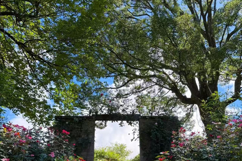 Shizuoka: ACAO FOREST Ticket & Digital Nature Guide