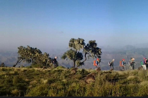 From Addis Ababa: Debre Libanos Monastery and Blue Nile …