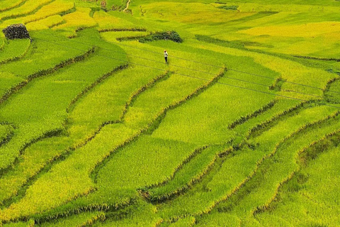 From Hanoi: Visit Sapa 3 Days & See The Terraced Fields Group Tour With A 4-Star Hotel