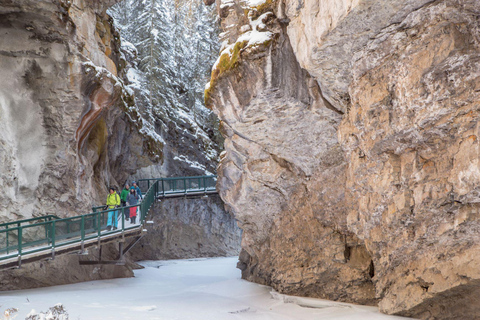 Combo de caminhada no gelo de Marble e Johnston CanyonCombinação de caminhada no gelo Marble e Johnston Canyon