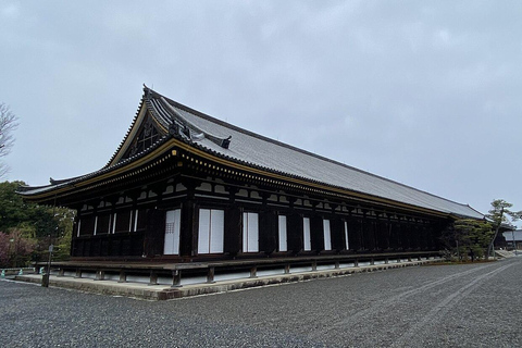 Kyoto/Osaka/Nara: Kyoto Private Guided Day Trip on Vehical