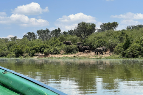 Kasese: 3 Day Queen Elizabeth Classic Safari & Boat Safari