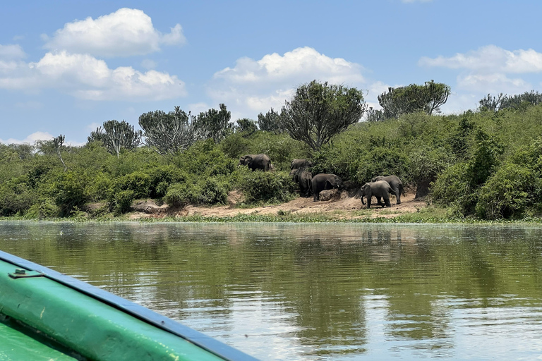 Kasese: 3 Day Queen Elizabeth Classic Safari & Boat Safari