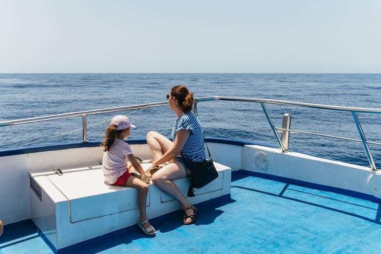 From Puerto Rico de Gran Canaria: Dolphin Watching Cruise 2-Hour Dolphin-Watching Cruise without Transfer