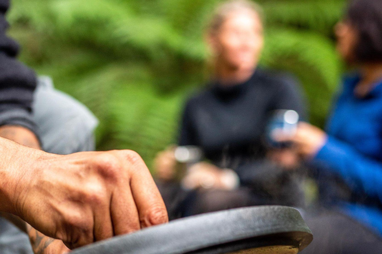 Rotorua: Whirinaki Forest Guided Tour & Luxury Spa Entry