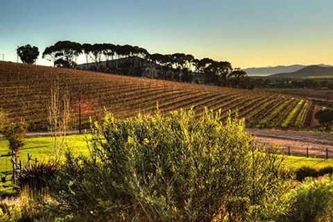 Visite privée des vignobles de Stellenbosch, Paarl et Franschhoek