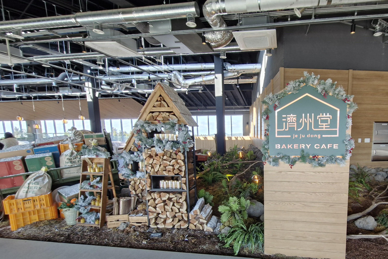 Jeju eiland: Privétour met gids