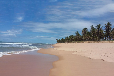 Tour privado en Cabo Frio: Playas y Cultura Paradisíacas