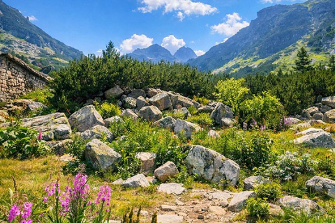 From Sofia: Rila Mountain - Easy Hike & Optional Local Lunch From Sofia: Rila Mountain - Shared Group Option