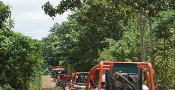 From Punta Cana or La Romana: Sugarcane Fields Buggy or Quad