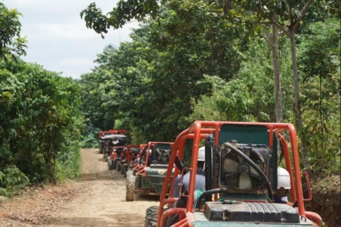 From Punta Cana or La Romana: Sugarcane Fields Buggy or Quad From Punta Cana or Bávaro