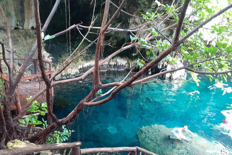 桑给巴尔：石头城之旅、日落和夜间美食市场不含酒店接送的行程