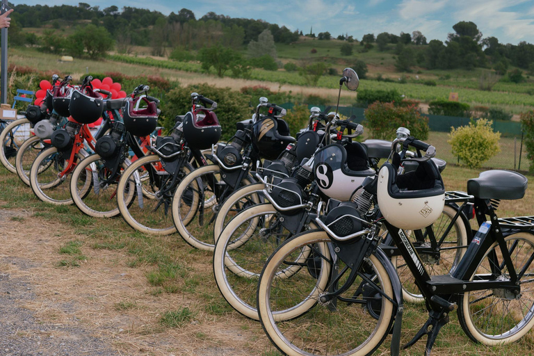 Carcassonne: Solex ride with guide and wine tasting Carcassonne: Solex tour with guide and wine tasting
