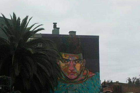 Rondleiding door straatkunstcultuur in Valparaíso en Viña del Mar