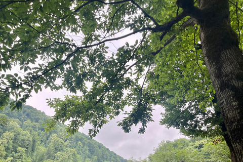 Baku: Shirhal Waterfall Canyoning Adventure with Lunch