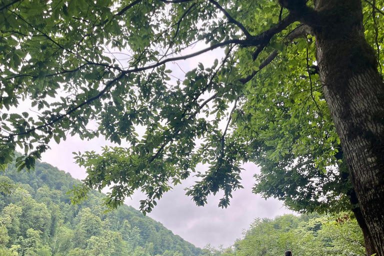 Baku: Shirhal Waterfall Canyoning Adventure with Lunch