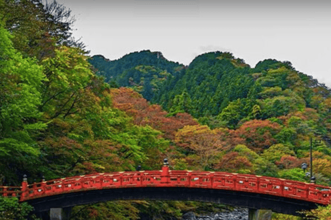 Tokio: Nikko Unesco Werelderfgoed Niet te missen privétour