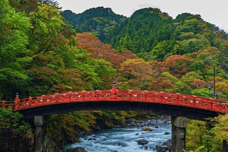 Tokyo : Nikko, patrimoine mondial de l&#039;Unesco, visite privée incontournable