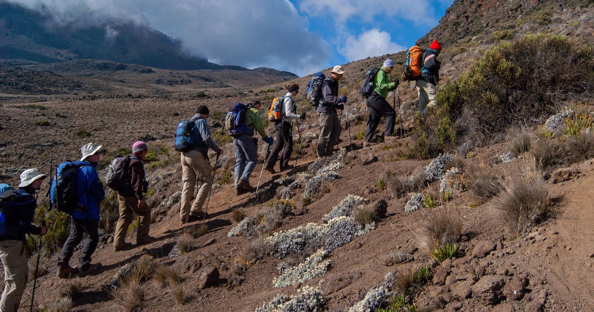 6 Days Kilimanjaro Climbing Via Machame Route GetYourGuide