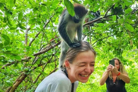 Zanzibar: Privat Jozani-skogen, Kuza-grottan och Rock RestaurantZanzibar: Privat Jozani-skogen, Kuza-grottan och Rock-restaurangen