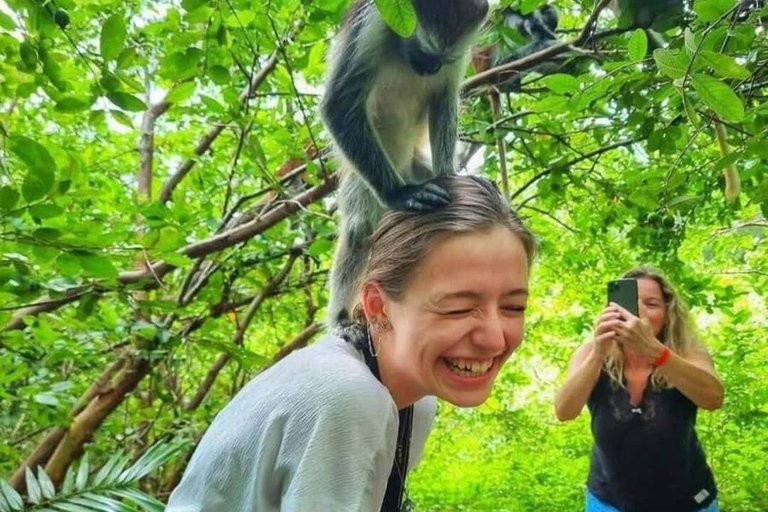 Zanzibar: Privat Jozani-skogen, Kuza-grottan och Rock RestaurantZanzibar: Privat Jozani-skogen, Kuza-grottan och Rock-restaurangen