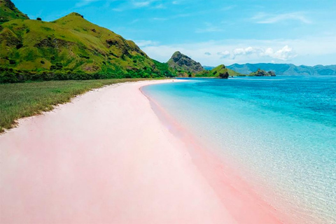 Labuan Bajo : Komodo Excursion privée d&#039;une journée avec plongée en apnée