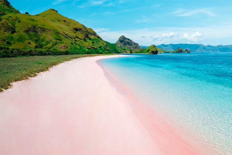 Labuan Bajo: Viagem privada de 1 dia a Komodo com snorkeling