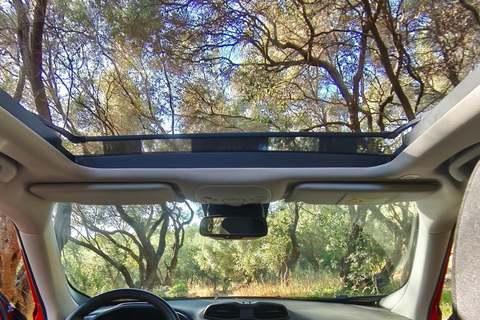 Corfu Cruisers: Off-Road Jeep Ride with Swim & Photo Stops