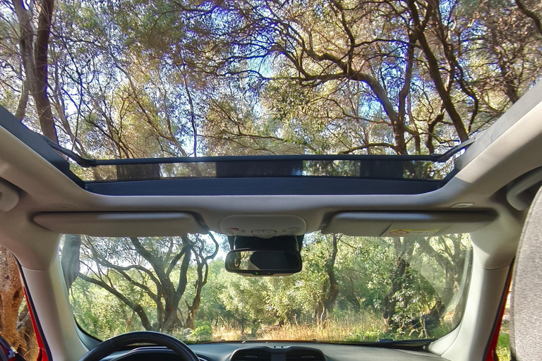 Corfu Cruisers: Off-Road Jeep Ride with Swim & Photo Stops