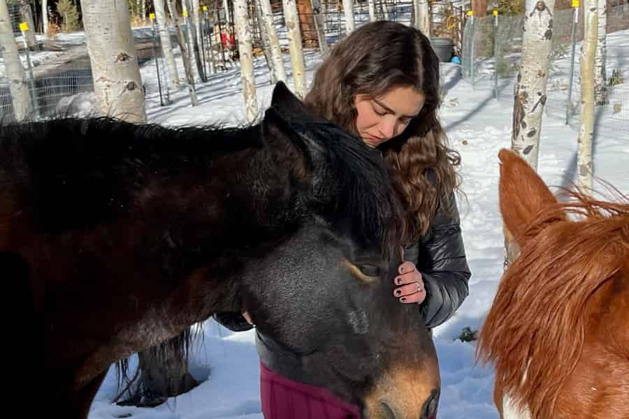 Colorado Springs: Achtsamkeit mit geretteten Mustangs. Foto: GetYourGuide