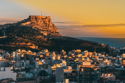 Alicante: Private Guided Tour with Transport