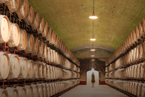 Degustação de vinhos - excursão particular de meio diaDegustação de vinhos Tour privado de meio dia