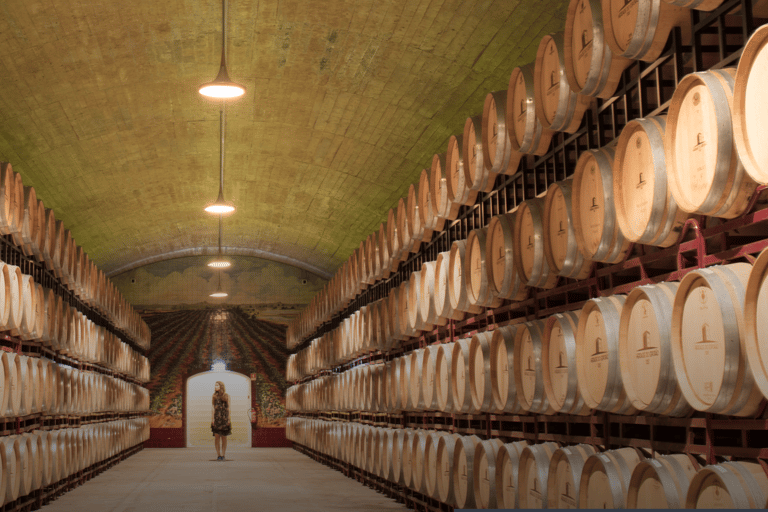 Degustação de vinhos - excursão particular de meio diaDegustação de vinhos Tour privado de meio dia