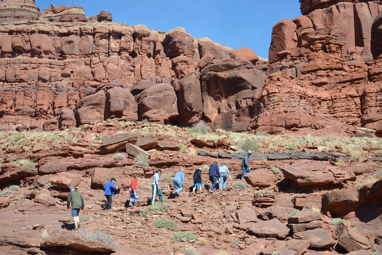 Moab: Meander Canyon Scenic Jet Boat Tour