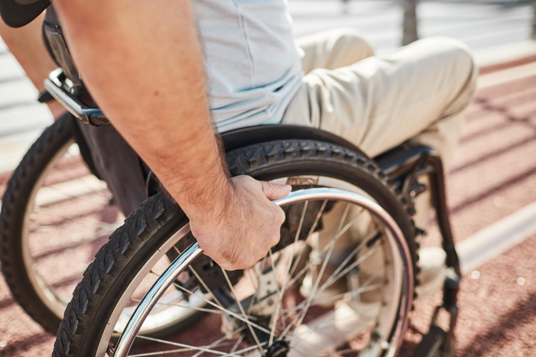 Wheelchair-Frendly Private Louvre Tour – Stress-Free & Easy Private Wheelchair Tour with Hotel Pickup