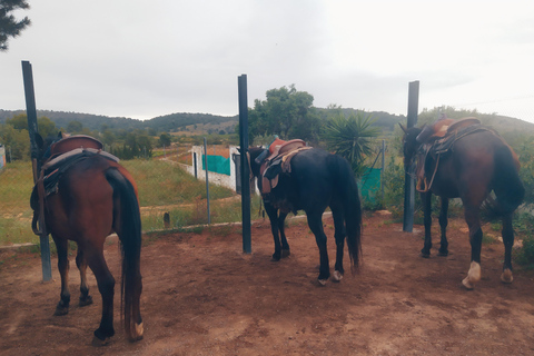 Odkryj wnętrze Walencji na koniu