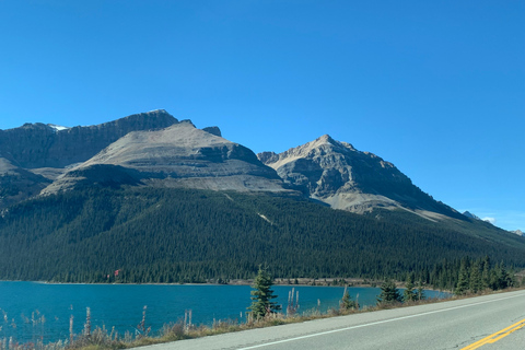 Jasper, Columbia Icefield, Peyto, Athabasca Sunwapta Falls Calgary meet up