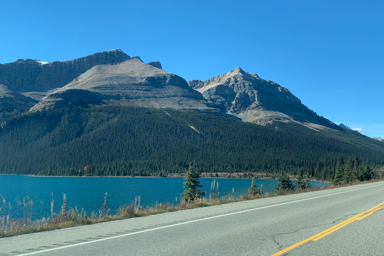 Jasper, Columbia Icefield, Peyto, Athabasca Sunwapta Falls Calgary meet up
