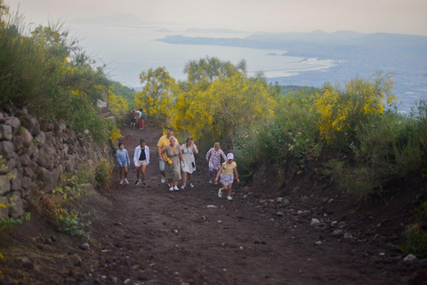 From Naples Pompeii & Mount Vesuvius Smart Tour with Tickets