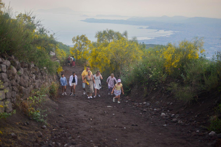 From Naples Pompeii & Mount Vesuvius Smart Tour with Tickets
