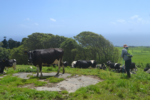 Sao Miguel Hike to Janela do Inferno and Lagoa do Fogo