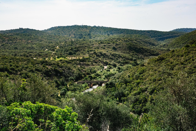 Albufeira: Aventura en Buggy TodoterrenoSilla de paseo doble