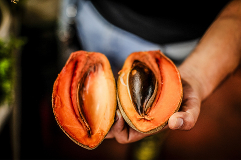 Cancún: Tortilla Trails Food Tour with 15+ Tastings