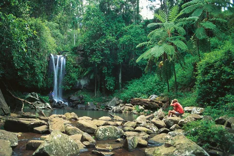 Brisbane: Hop-on-Hop-off-Bus zum Tamborine Mountain