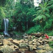 Brisbane: Hop-on Hop-off Bus to Tamborine Mountain