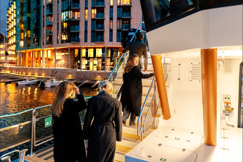 Oslo: New Years Eve Fireworks Cruise with Glass of Bubbly