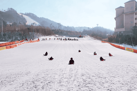 De Seul: excursão privada de um dia a Gangwondo - inglês ou espanholDe Seul: passeio privado de um dia a Gangwondo - inglês ou espanhol